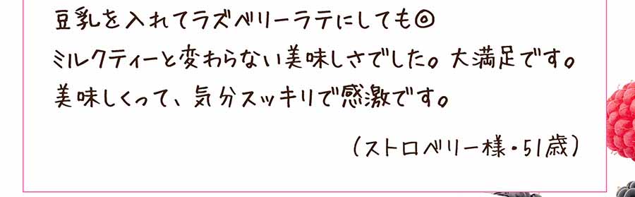 モリモリスリム・フレーバーティー27