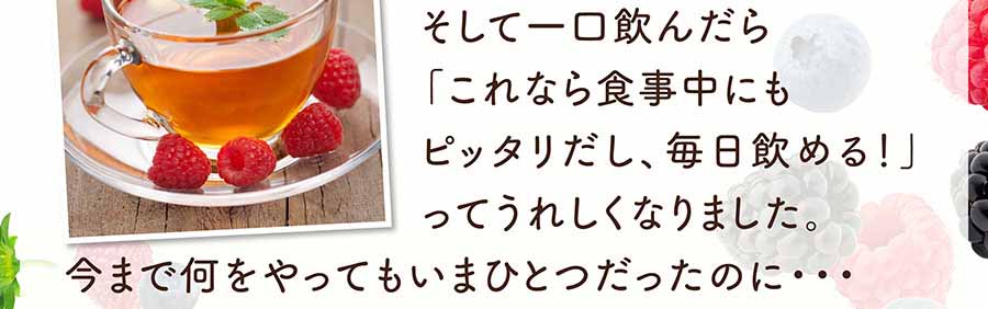 モリモリスリム・フレーバーティー72