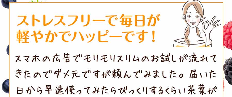 モリモリスリム・フレーバーティー79